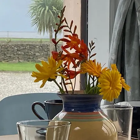 Wild Atlantic Cabin *