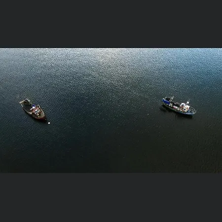 Wild Atlantic Cabin * Sligo