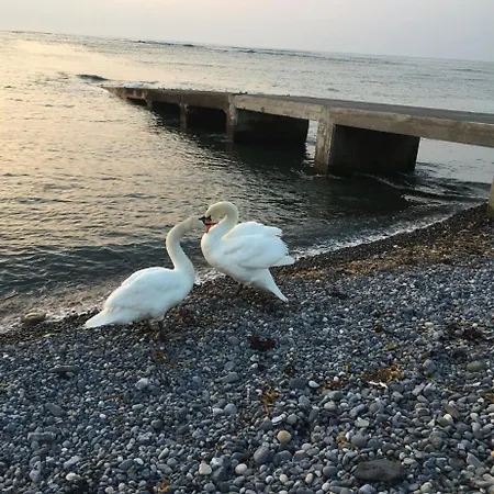 Apartament Wild Atlantic Cabin