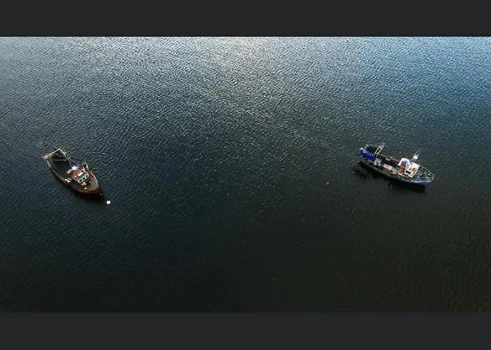 Wild Atlantic Cabin * Sligo