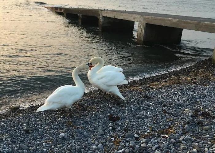 Appartamento Wild Atlantic Cabin